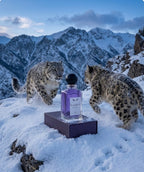 RUQAYY | 48-Hour Long-Lasting Perfume